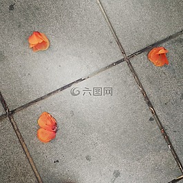 路面,瓷磚,秋