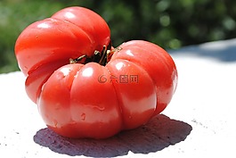 番茄,蔬菜,溫室