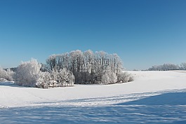 雪,冬天,景觀