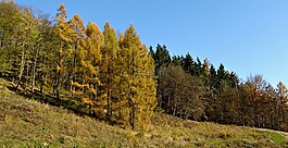 开国元勋,波兰,景观