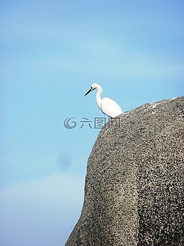 卡塔赫納,ave,惡魔島