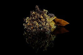 鮮花,羅莎,花束