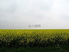 瓦隆,朦朧,春