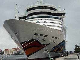 郵輪,船,海