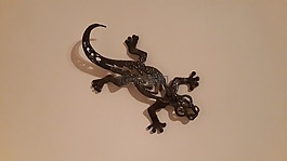 蜥蜴,金屬,裝修