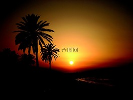 突尼斯,日落,假期