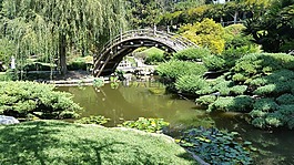 日本,花園,禪宗