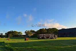 農(nóng)田,日出,草