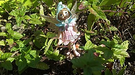 仙女,童話故事,幻想