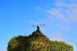 兀鷲,思洛存儲(chǔ)器,上午