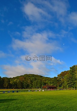 原野,日出,綠色