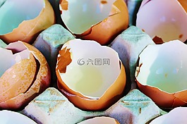蛋,蛋殼,蛋板