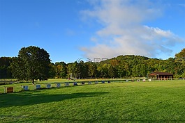 原野,日出,綠色