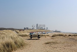 海灘,大道,沙丘