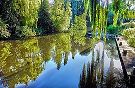 水,池,湖