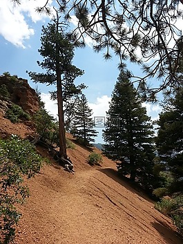 科羅拉多州,山,自然