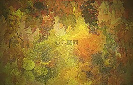 秋季,背景,酒