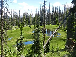 尤因塔,沼泽,山