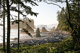 海灘,seastacks,海景