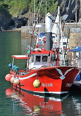 船,海,端口