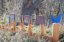 天空森林幼儿园,永宗,图片场