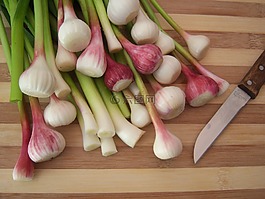 ajetes,蔬菜,食譜