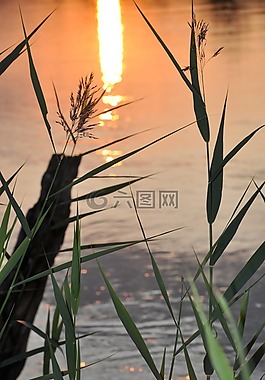 日落,太陽,河