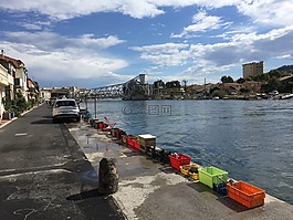 sete,魚,地中海