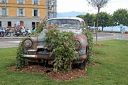 不銹鋼,汽車,離開