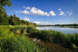 性質(zhì),水域,全景