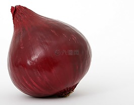 燈泡,特寫(xiě),丁香