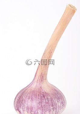 燈泡,特寫(xiě),丁香