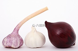 燈泡,特寫(xiě),丁香