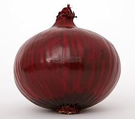 燈泡,特寫(xiě),丁香