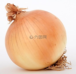 燈泡,特寫(xiě),丁香