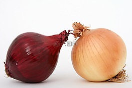 燈泡,特寫(xiě),丁香