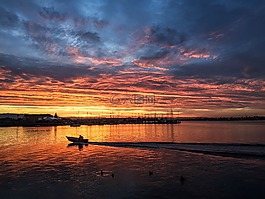 日出,水,海洋
