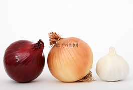 燈泡,特寫(xiě),丁香