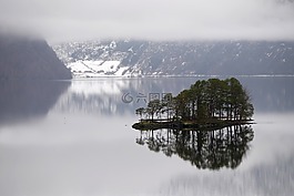 霧,湖,景觀