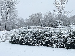 雪,冬天,降雪