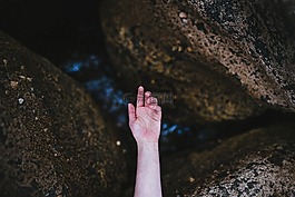 手,自然,戶外