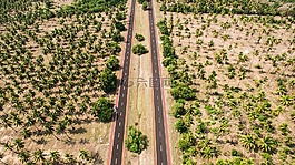 草,自然,道路