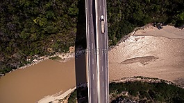 橋,森林,河
