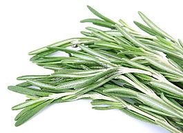 烘烤,樹皮,特寫