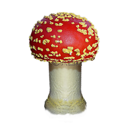 蘑菇,秋,紅色