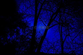 夜间照片,满月,夜晚的天空