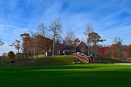 公園,景觀,草
