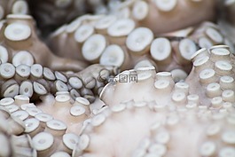 模糊,特寫,食品