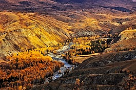 中國,景觀,山