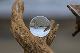 自然,景觀,海